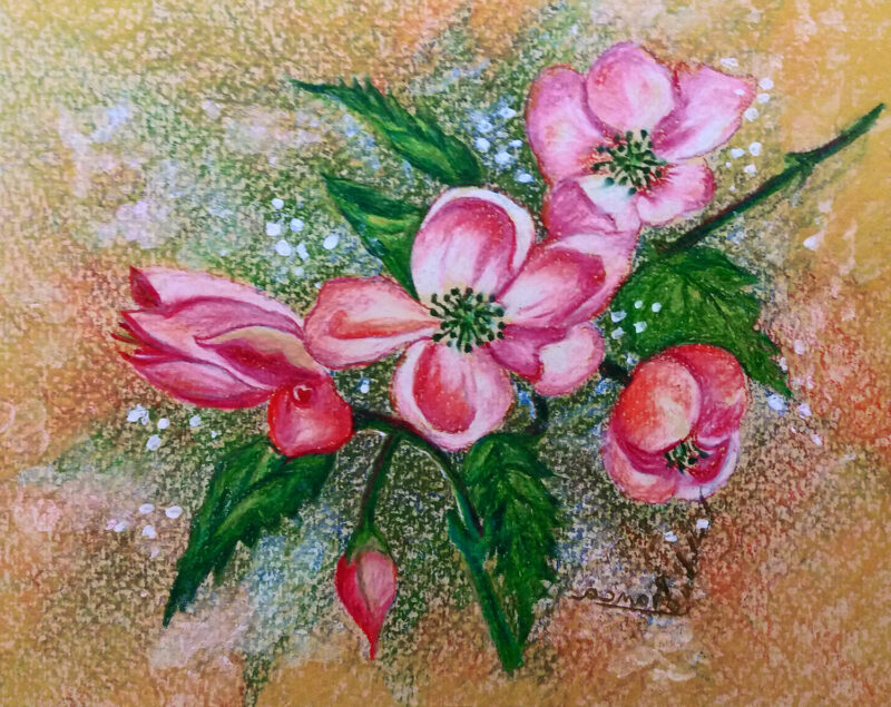 Blossom – colored pencils