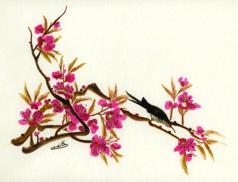 Cherry blossoms – india ink