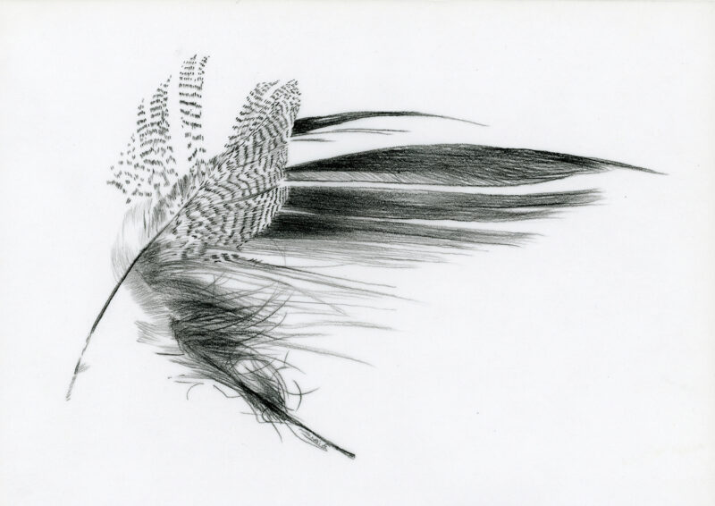 Feather – pitt pencil