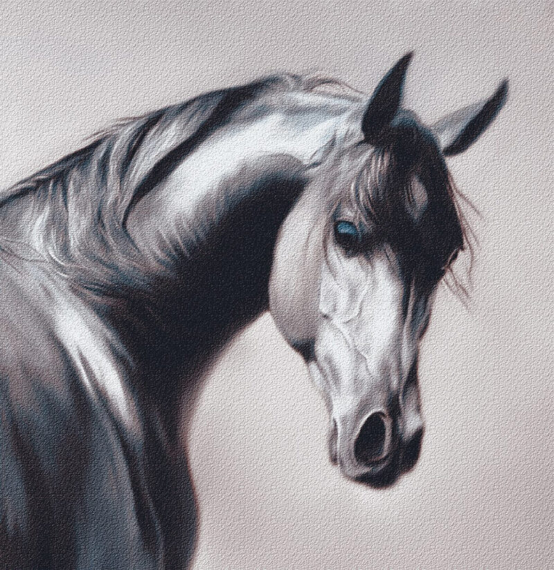 Horse – digital art