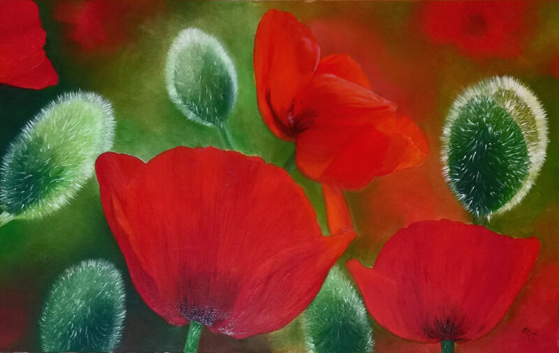 Painted Poppies – oil on canvas