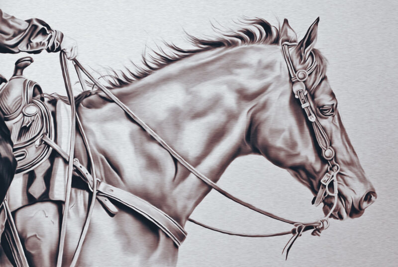 Brown horse – digital art