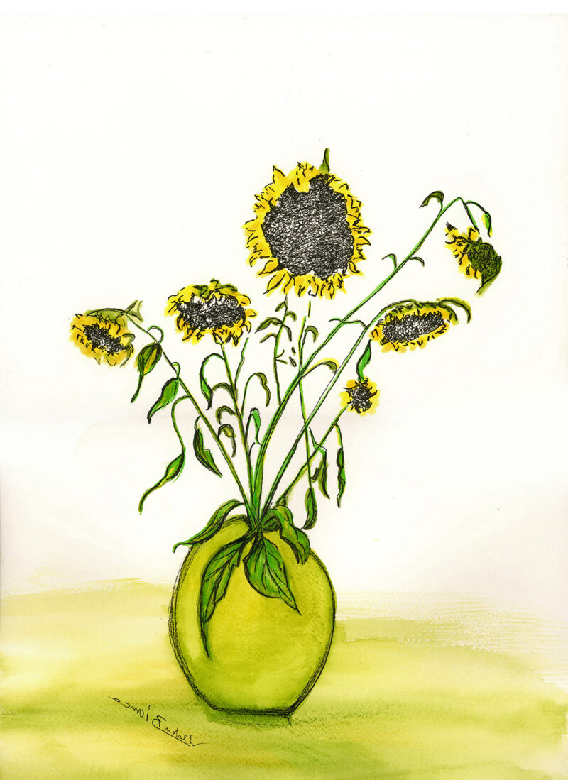 Sunflowers in a vase – ink on Arches paper